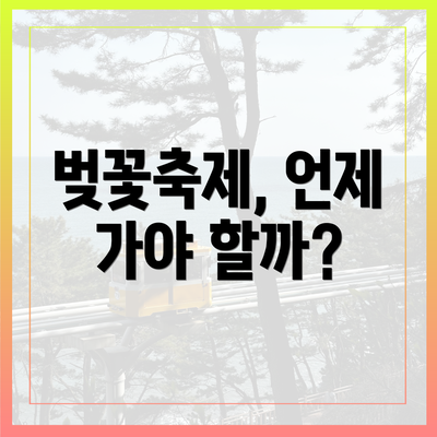 벚꽃축제, 언제 가야 할까?