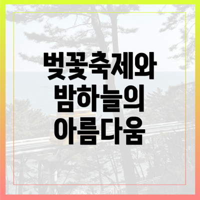 벚꽃축제와 밤하늘의 아름다움