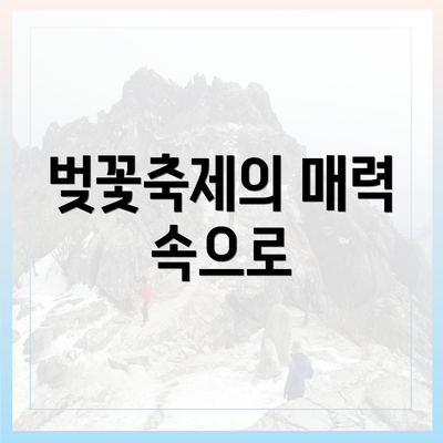 벚꽃축제의 매력 속으로