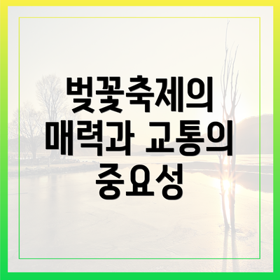 벚꽃축제의 매력과 교통의 중요성