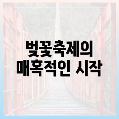 벚꽃축제의 매혹적인 시작