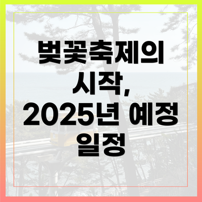 벚꽃축제의 시작, 2025년 예정 일정
