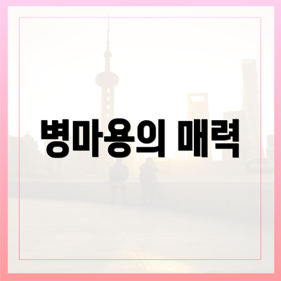 병마용의 매력