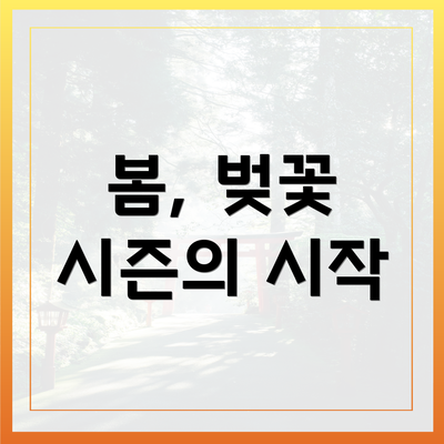 봄, 벚꽃 시즌의 시작