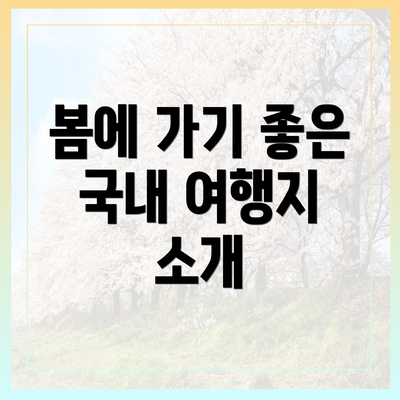 봄에 가기 좋은 국내 여행지 소개