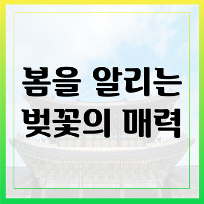 봄을 알리는 벚꽃의 매력