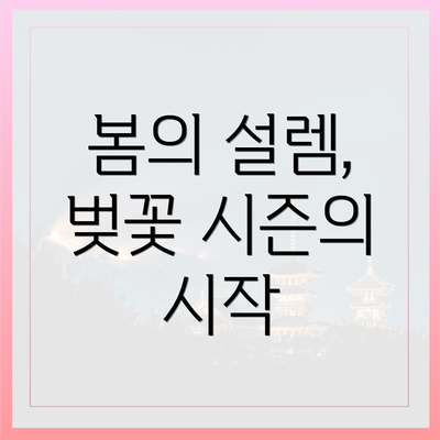 봄의 설렘, 벚꽃 시즌의 시작