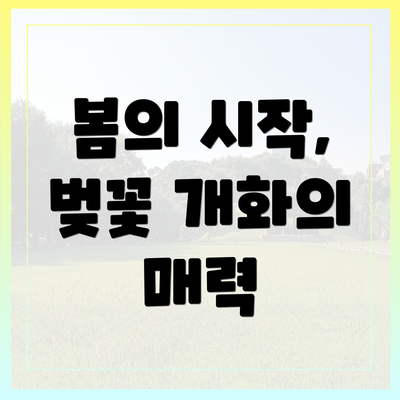 봄의 시작, 벚꽃 개화의 매력