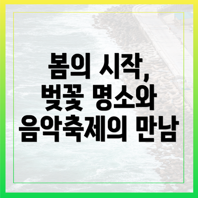 봄의 시작, 벚꽃 명소와 음악축제의 만남