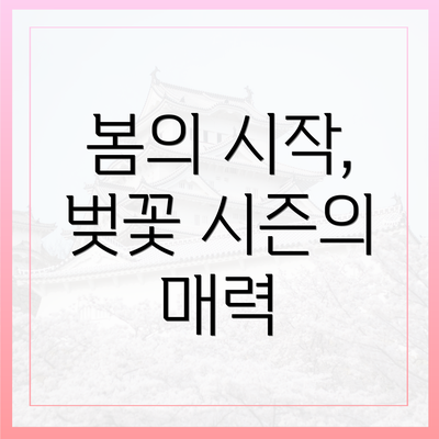 봄의 시작, 벚꽃 시즌의 매력