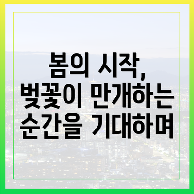 봄의 시작, 벚꽃이 만개하는 순간을 기대하며
