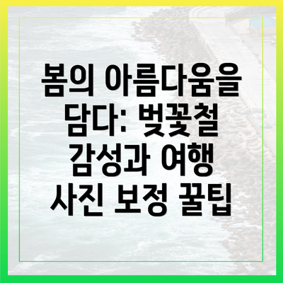 봄의 아름다움을 담다: 벚꽃철 감성과 여행 사진 보정 꿀팁