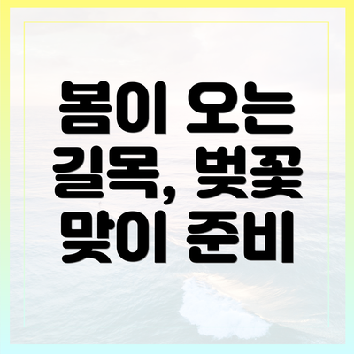 봄이 오는 길목, 벚꽃 맞이 준비