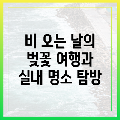 비 오는 날의 벚꽃 여행과 실내 명소 탐방