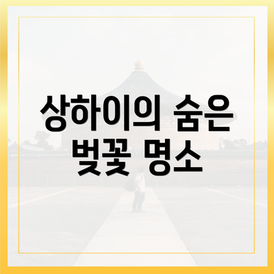 상하이의 숨은 벚꽃 명소