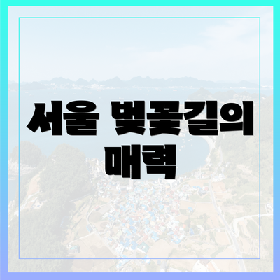 서울 벚꽃길의 매력