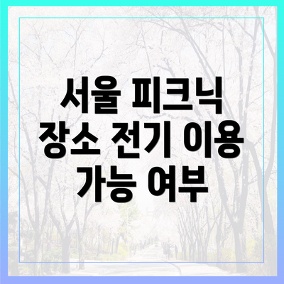 서울 피크닉 장소 전기 이용 가능 여부