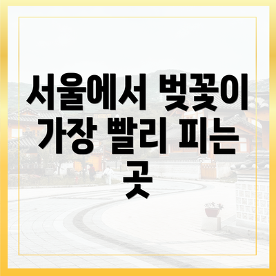 서울에서 벚꽃이 가장 빨리 피는 곳