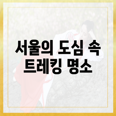 서울의 도심 속 트레킹 명소