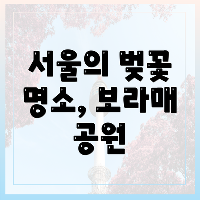 서울의 벚꽃 명소, 보라매 공원