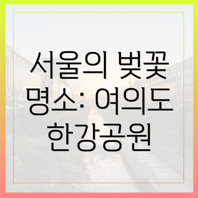 서울의 벚꽃 명소: 여의도 한강공원