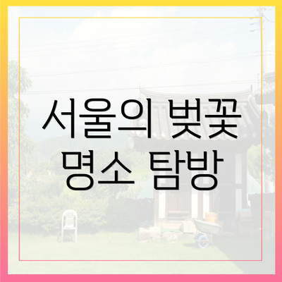 서울의 벚꽃 명소 탐방