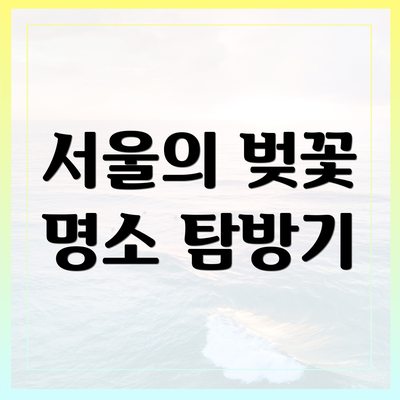 서울의 벚꽃 명소 탐방기