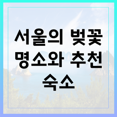서울의 벚꽃 명소와 추천 숙소