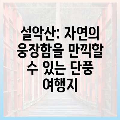 설악산: 자연의 웅장함을 만끽할 수 있는 단풍 여행지