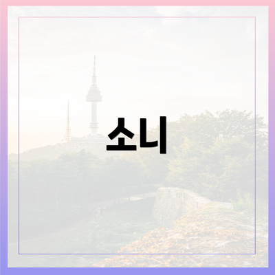 소니
