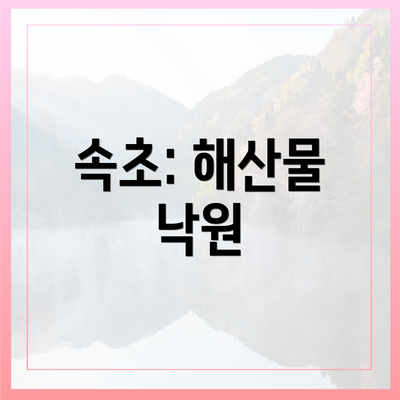 속초: 해산물 낙원