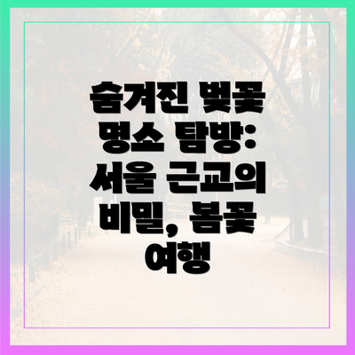 숨겨진 벚꽃 명소 탐방: 서울 근교의 비밀, 봄꽃 여행