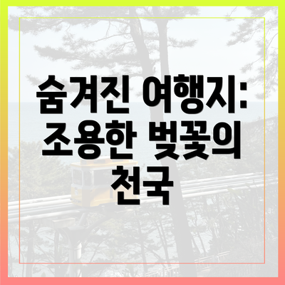 숨겨진 여행지: 조용한 벚꽃의 천국