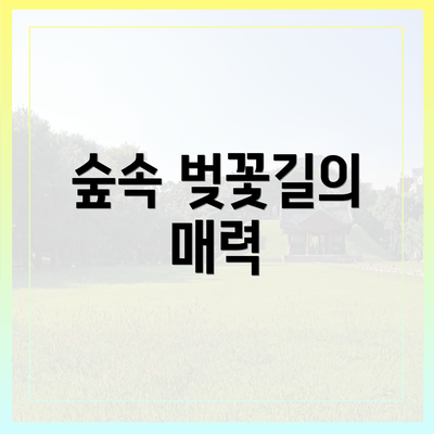 숲속 벚꽃길의 매력