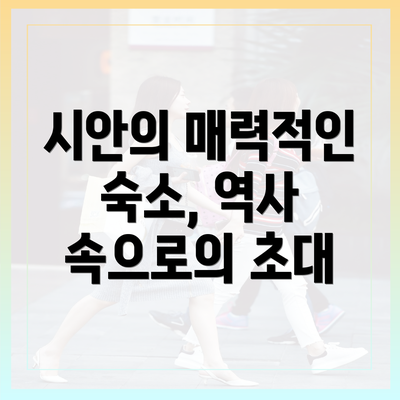 시안의 매력적인 숙소, 역사 속으로의 초대