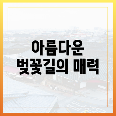 아름다운 벚꽃길의 매력