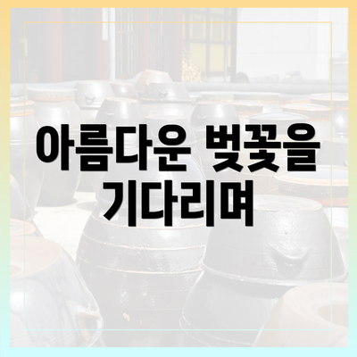 아름다운 벚꽃을 기다리며