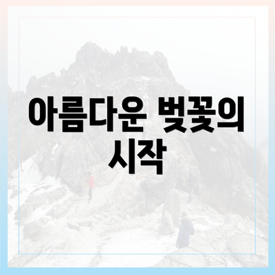 아름다운 벚꽃의 시작
