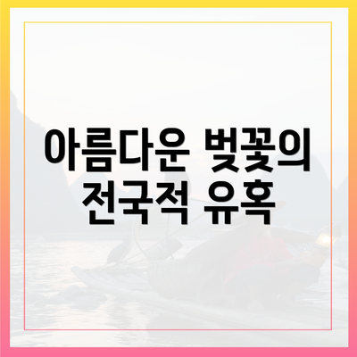 아름다운 벚꽃의 전국적 유혹
