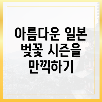 아름다운 일본 벚꽃 시즌을 만끽하기