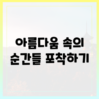 아름다움 속의 순간들 포착하기