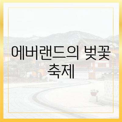에버랜드의 벚꽃 축제