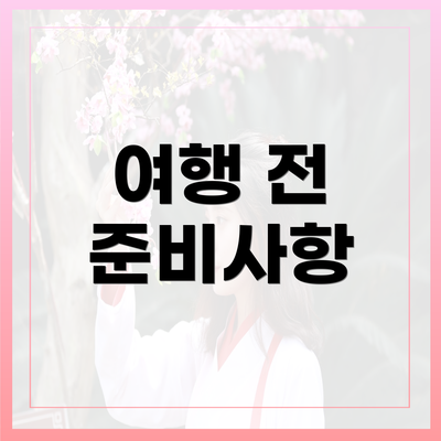 여행 전 준비사항