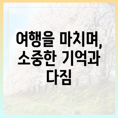 여행을 마치며, 소중한 기억과 다짐