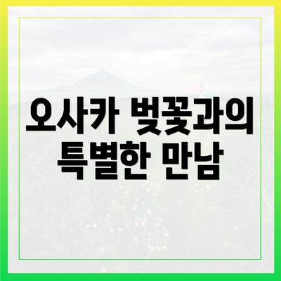 오사카 벚꽃과의 특별한 만남