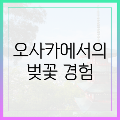 오사카에서의 벚꽃 경험