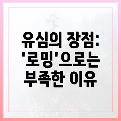 유심의 장점: '로밍'으로는 부족한 이유