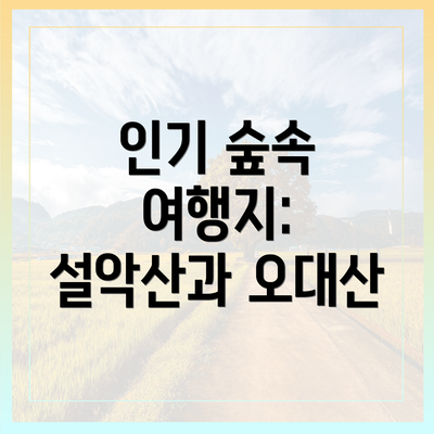 인기 숲속 여행지: 설악산과 오대산