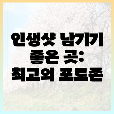 인생샷 남기기 좋은 곳: 최고의 포토존