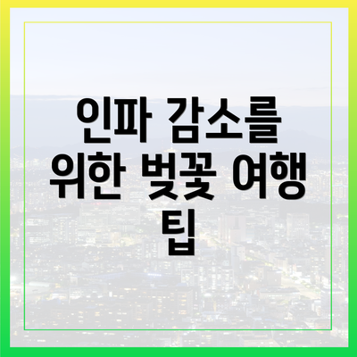인파 감소를 위한 벚꽃 여행 팁